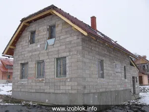 37a velka losenice
