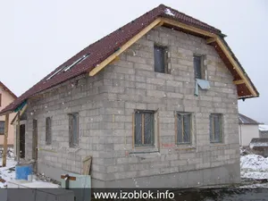 37b velka losenice